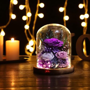 Flowers for Delivery Preserved Rose Gifts for Women,Long-Lasting Real Flowers in Glass Dome,Valentine Day Mothers Day Birthday Gifts for Wom
